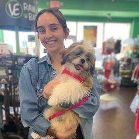 Shih Tzu